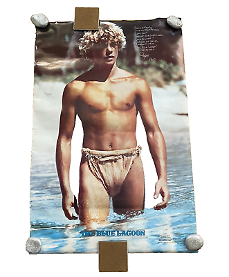 #ad The Blue Lagoon 2007 Christopher Atkins 1980 Original Poster 23quot;X34.5quot; Vintage $29.85