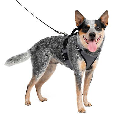 #ad EasySport Dog Harness Control Handle and Reflective PipingMedium Charcoal Grey $21.31