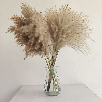 #ad 1 Bouquet Phragmites Dried Flower Eco friendly Home Decoration Real Whisk Reed $27.79