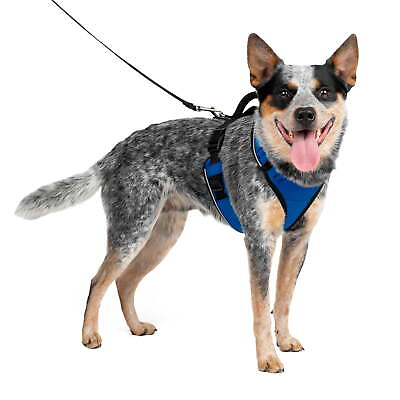 #ad EasySport Dog Harness Comfortable Padding Reflective Medium Blue $21.32