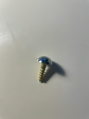 Chrome plated screw heads and brass screws $19.40