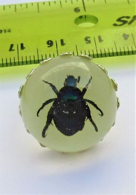 #ad Fashionable Iridescent Black Beetle Ring Glow in Dark Clear Acrylic FAST USA $9.79