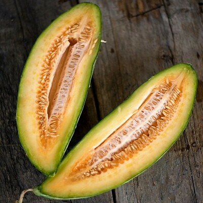 #ad Banana Melon Cantaloupe Seeds 50 Muskmelon Fruit Heirloom USA FREE SHIPPING $1.99