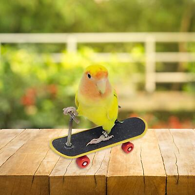 #ad Parakeet Toy Bird Perch Stand Playing Solid Bird Perches Bird Skateboard Toy $8.69