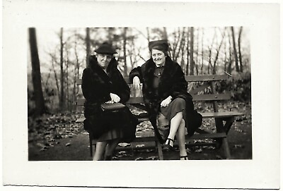 #ad Vintage 1930s Photo of Elderly Women Friends Wearing Fur Coats Sit on Park Bench $9.90