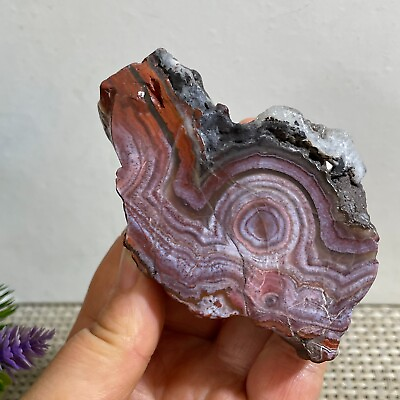 #ad 205g Natural Mexican Crazy Lace Agate Rough Specimen Healing h7 $29.25