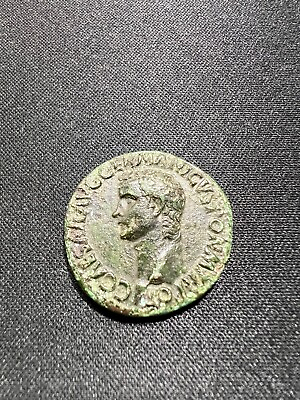 Caligula As AD 37 41 Beautiful Olive Green Patina $1500.00