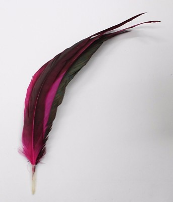 3 Pcs COQUE SWEEPS Dyed Hot Pink Rooster Feathers 8 12quot; in height $12.99