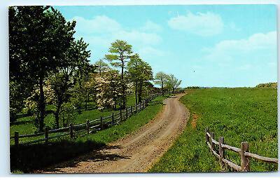#ad Winding Country Dirt Road Spring Drive Vintage Postcard E59 $6.74