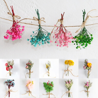 #ad Natural Dried Flowers Fresh Preserved Gifts Flowers Bouquet Party Decor Handmade AU $3.49