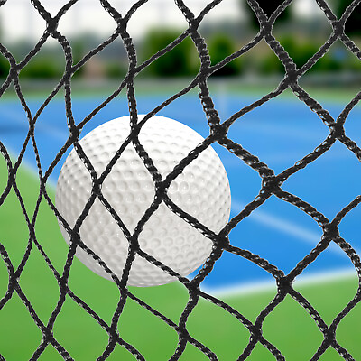 #ad Golf Practice Barrier Net Ball Sports High Impact Hitting Netting 10x10Ft 10x15F $28.49