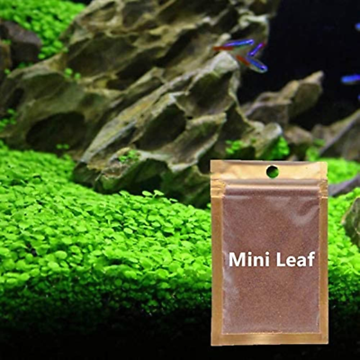 #ad 2 Pack Aquarium Mini Leaf Grass Aquarium Foreground GrassAquatic Plant Decor Wa $16.19