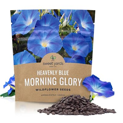 Morning Glory Seeds Heavenly Blue Large 1 Ounce Packet Over 1000 Flower S... $12.22