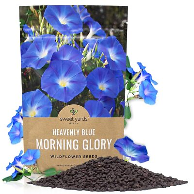 Morning Glory Seeds Heavenly Blue Bulk 1 4 Pound Bag Over 4000 Fresh Flo... $41.68