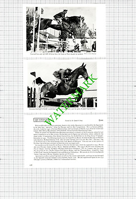 #ad Comdt Garcia Cruz Spain Horse QUONIAM QUORUM 1950s 2 Part Cutting GBP 10.85