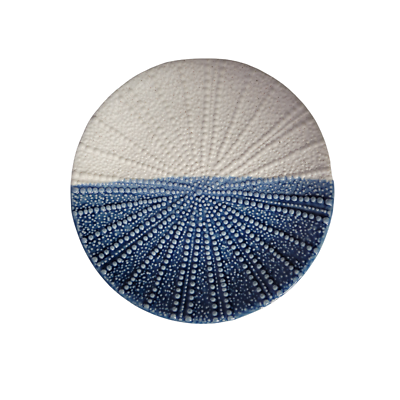 #ad Sea Urchin Coastal Plate Set 2 Serves 6 Porcelain Sale Blue amp; Creamy White 8x8 $199.99