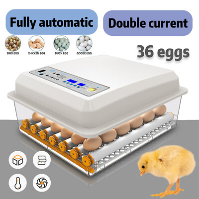 #ad 36 Egg Incubator Automatic Chicken Quail Chick Hatcher Incubators for Hatching $59.99
