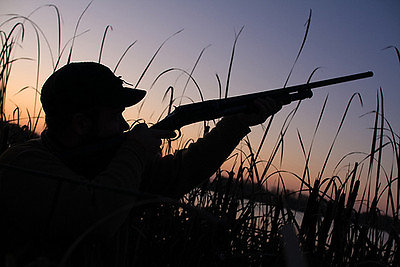 #ad Hunting Survival cd Shooting Rifle Deer Turkey 35 Bks Big Game Camping Hunter $7.99