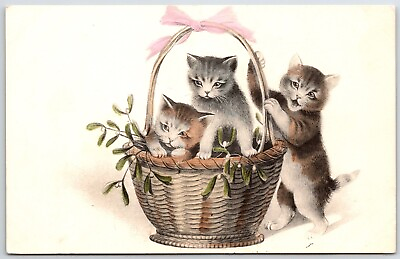 #ad kittens cats in a basket pink bow cute adorable playing sweet darling $8.49