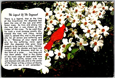 #ad Postcard: The Legend of the Dogwood Cross shaped Flowers A155 $3.49