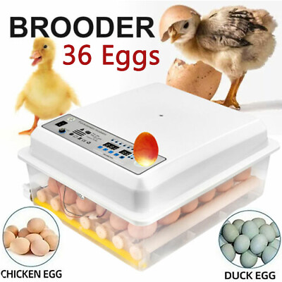 #ad 36 Egg Incubator Automatic Digital LED Hatcher Turning Chicken Egg Poultry Quail $59.99