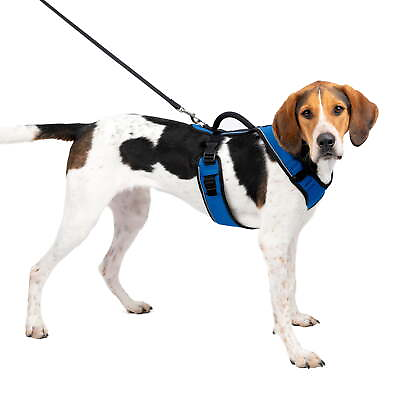 #ad EasySport Dog Harness Comfortable Padding Reflective Large Blue $24.65