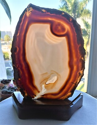 #ad GEORGEOUS BRAZILIAN POLISHED RED GRAY LACE AGATE GEODE SLAB 7quot;x5quot; 256g. $29.99