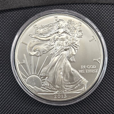 #ad 2013 Walking Liberty American Eagle Dollar 1 Oz. Fine Silver Coin Uncirc w case $49.99