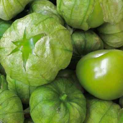 #ad Grande Rio Verde Tomatillo Seeds 50 Ct Vegetable HEIRLOOM NON GMO USA FREE Samp;H $2.14