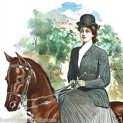 #ad 1905 RIDING CLUB Sport Victorian Stone Lithograph Print HORSE English Saddle $10.36