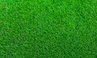 #ad Empire Zoysia Grass Seeds Lawn grass 1 8 LB $9.00