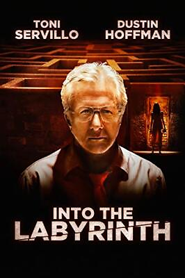 #ad Into the Labyrinth $16.00