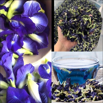 #ad Dried Butterfly Blu Pea Flower Tea Organic Pure Natural Herbal Blue Drink 2000 $39.90