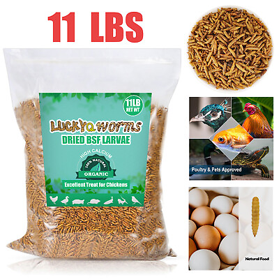 #ad 11 LB Dried Black Soldier Fly Larvae BSFL Birds Natural Food Chickens Hen Treats $47.98