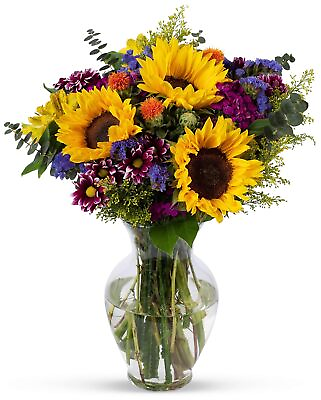 #ad #ad BOUQUETS Flowering Fields Bouquet Prime Delivery Free Vase Farm Direct $95.00
