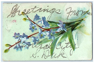 Central City South Dakota Postcard Greetings Flower Glitter Embossed 1907 Posted $29.95