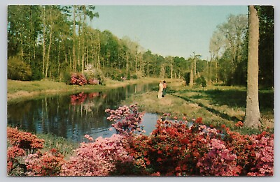 Jefferson Davis Shrine Lagoon at Beauvoir Biloxi Mississippi Vintage Postcard $4.75