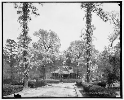 8quot; x 10quot; Photo A Cottage at Summerville S.C. 1904 $16.95