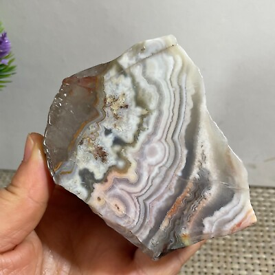 #ad 386g Natural Mexican Crazy Lace Agate Rough Specimen Healing h21 $37.05