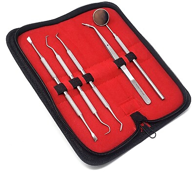 #ad Professional Dental Oral Kit Scaler Probe Pick SET Mirror Tools German Stainless $8.50