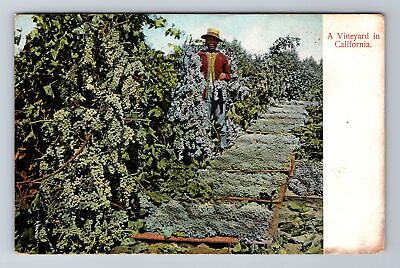 Monrovia CA California a Vineyard in California Antique Vintage Postcard $8.99