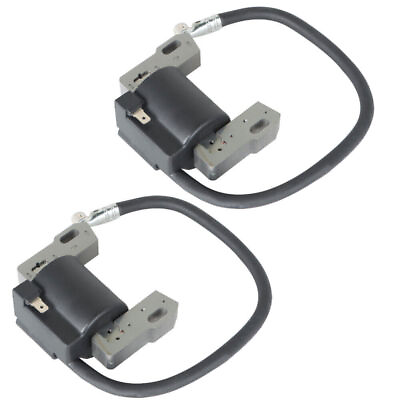 #ad ⭐2Pcs Ignition Coil Fits For Briggs amp;Stratton 543477 446777 446877 592846 691060 $23.00