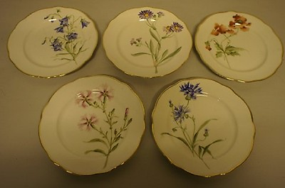 11 Rörstrand art nouveau plates. Handpainted different flowers. $740.00