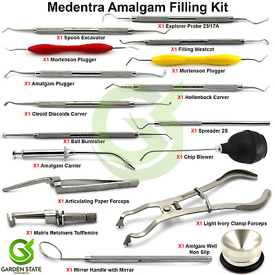 Dental Amalgam Kit Anterior Posterior Restorative Filling Scalers Plugger $84.54