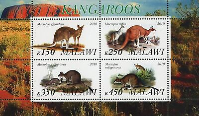 #ad Kangaroo Stamp Wild Animal Macropus Giganteus Souvenir Sheet of 4 Stamps MNH $16.37
