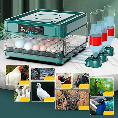 #ad Egg Incubator Chicken Quail Hatcher Automatic Incubators for Hatching Eggs $64.99