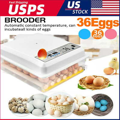 #ad 36 Eggs Digital Egg Incubator Chicken Hatcher Automatic Turning Hatching Eggs $59.99