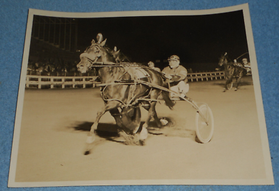 1981 Harness Racing Press Photo Horse quot;Sunray Classicquot; Russell Rash Yonkers NY $17.72
