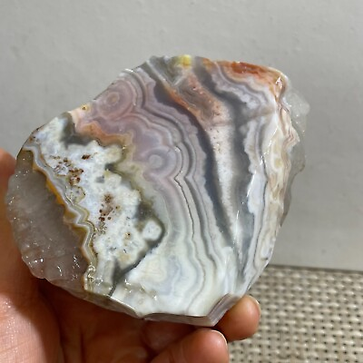 #ad 312g Natural Mexican Crazy Lace Agate Rough Specimen Healing h11 $37.05