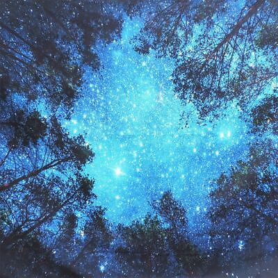 #ad Night Forest Tapestry Starry Sky Wall Hanging Art Tree Bedspread Home Decor USA $10.46